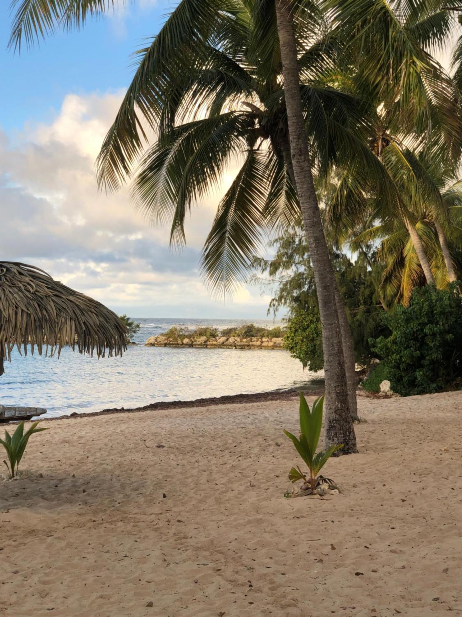 Studio Hibiscus Anse Des Rochers Saint Francois Buitenkant foto